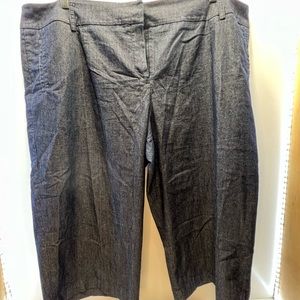 Sandro Woman Plus Size Capri 24W